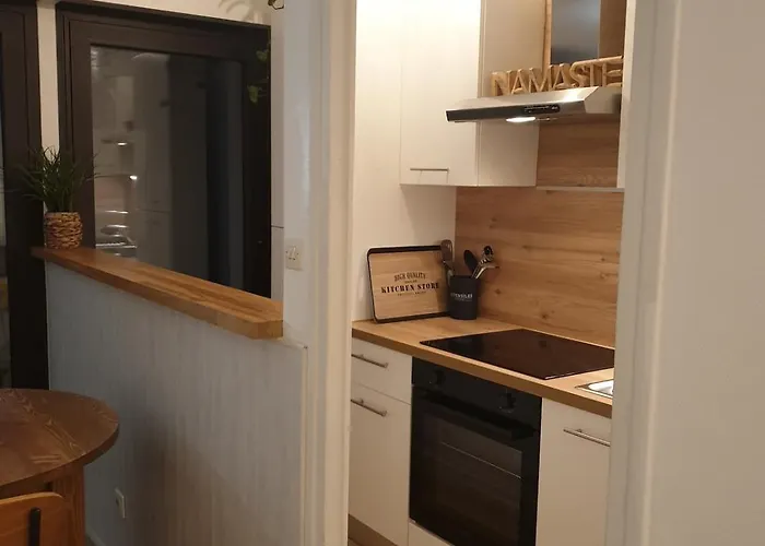 Cosy Proche Du 公寓 阿讷西