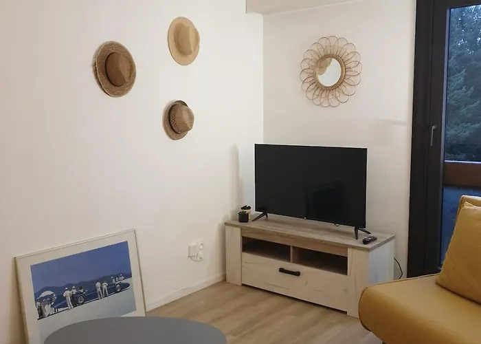 Cosy Proche Du 公寓 阿讷西